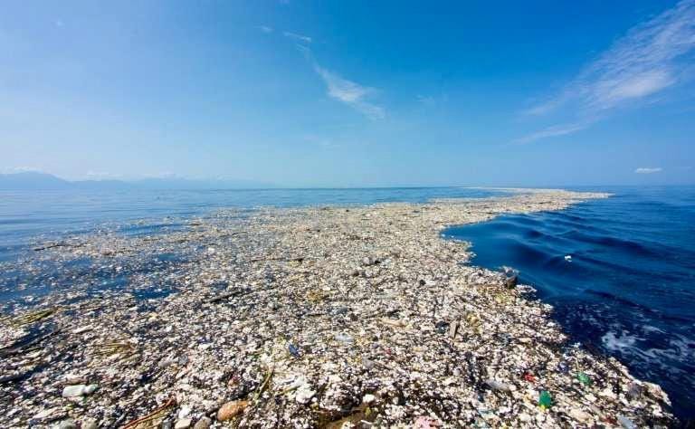 pacific garbage patch